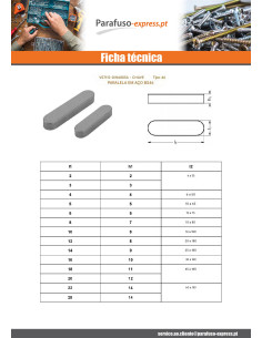 Chaveta paralela Aço bruto 22X14 comprimento 100 2