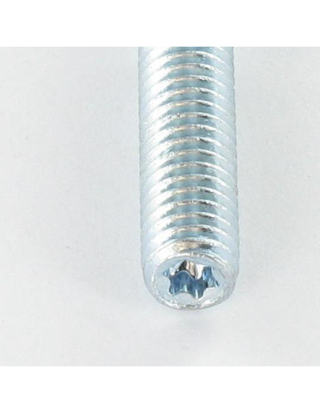 Varão roscado Fischer STST TORX T25 Aço zinco branco 8X50