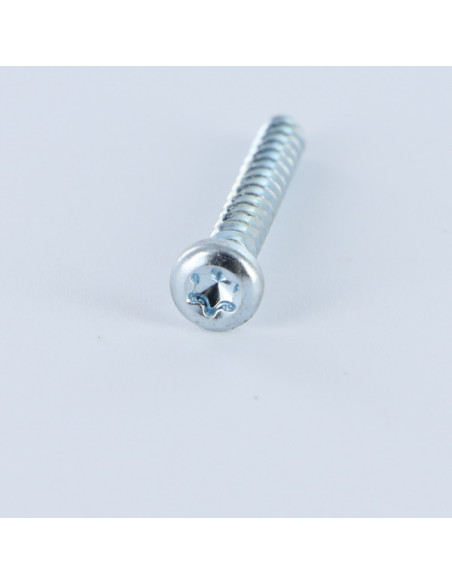 Parfuso de pvc cabeça cilíndrica TORX T10 3X16 1452 Aço zinco branco microparafusos