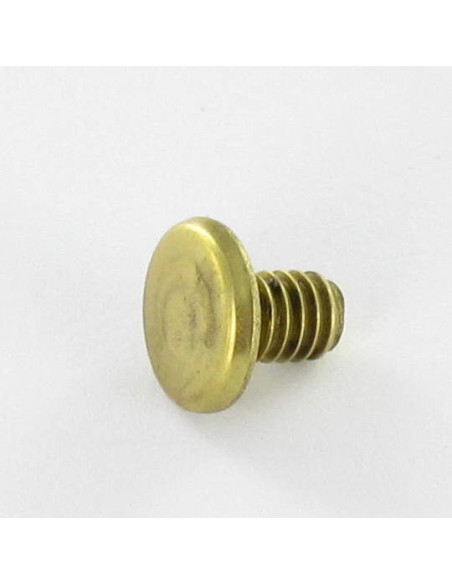 OBTURADOR Bronze cabeça plana 4,3X6 TORX T9 EP1.5