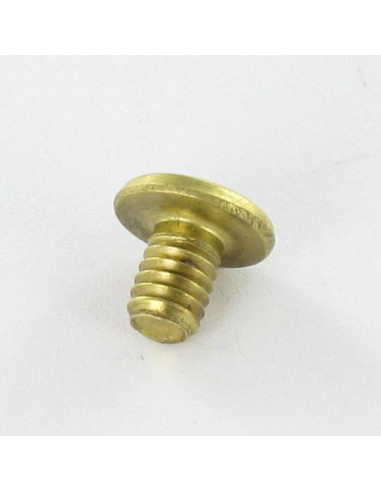 OBTURADOR Bronze cabeça plana 4,3X6 TORX T9 EP1.5