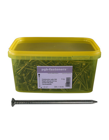Balde de 5 KG de Prego cabeça plana Aço bruto 2,7X50