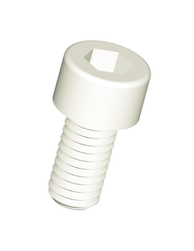 Parafuso de metais Parafuso cabeça oca sextavada chave de 3 M4X6 natural nylon