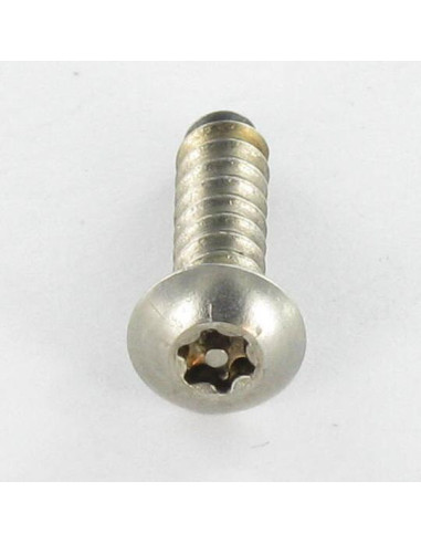 Parafuso de chapa Seguro Aço inoxidável A2 cabeça cilíndrica TORX T15 com pino 4,2X19