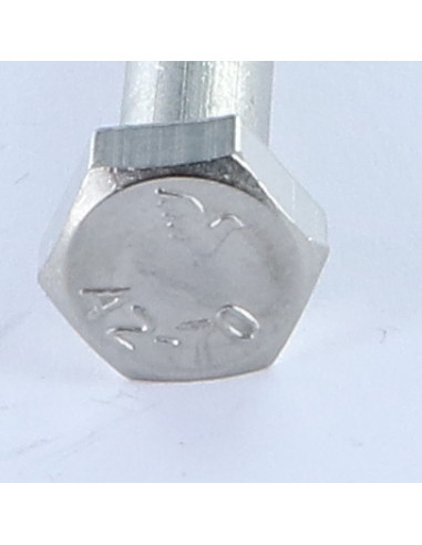 Corpo de parafuso Aço inoxidável A2 cabeça hexagonal M20X100