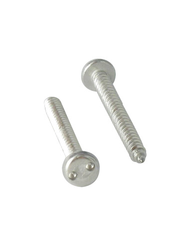 Parafuso de chapa Seguro cabeça cilíndrica SNAKE EYES 4,2 x 25 Aço inoxidável A2