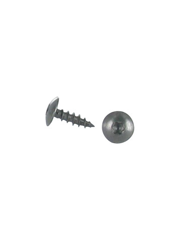 PARAFUSO dobradiça 6X20 rosca total TORX T30 Aço inoxidável A2 Preto