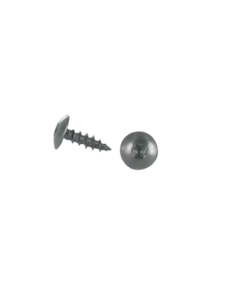 PARAFUSO dobradiça 6X20 rosca total TORX T30 Aço inoxidável A2 Preto