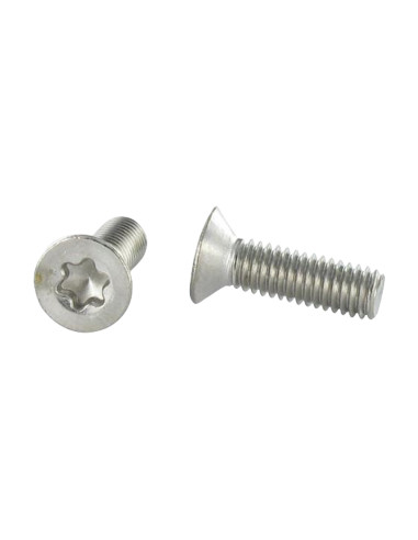 Parafuso de metais cabeça fresada TORX T8 M2,5X12 Aço inoxidável A4 microparafusos