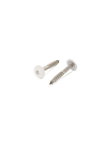 Parafusos rosca com cabeça de tremoço TORX T20 5,5 x 38 diâmetro da cabeça 12.3 Aço inoxidável A2 RAL9010 branco