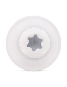 Parafuso para telhas cabeça fresada de panela TORX T20 Aço inoxidável A2 RAL9010 branco puro 4,5X60 Arruela 2