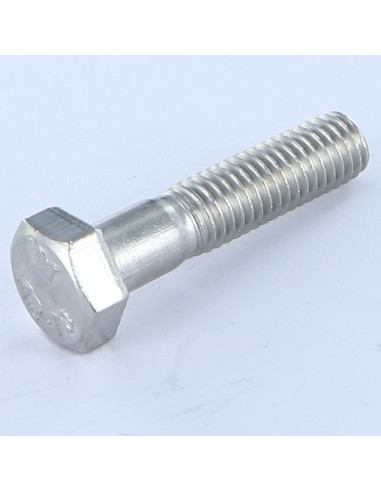 Corpo de parafuso Aço inoxidável A2 cabeça hexagonal M10X45