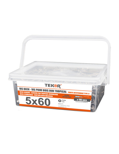 Balde de 195 Parafuso de terraço pico cut TEKOR 5X60 cut ponto antifenda tipo 17 Aço inoxidável C1 AISI 410 cabeça