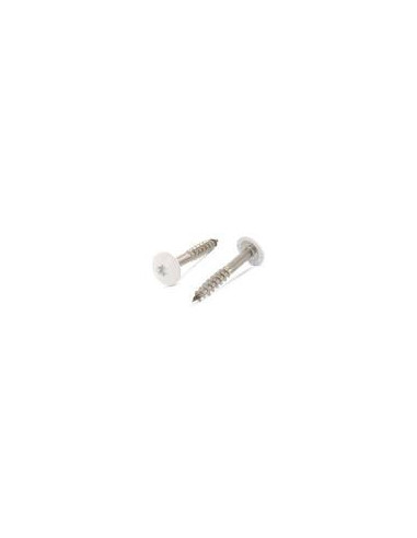 Parafusos rosca com cabeça de tremoço TORX T20 4,8 x 32 diâmetro da cabeça 12.3 Aço inoxidável A2 RAL 1013