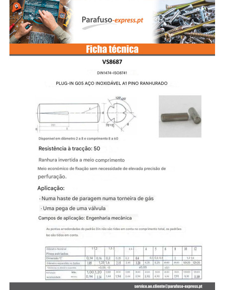 Cavilha ranhurada de encaixe Aço inoxidável A1 G05 3X25