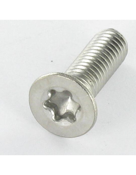 Parafuso de metais cabeça fresada M4X20 TORX T20 Aço inoxidável A2 ISO14581