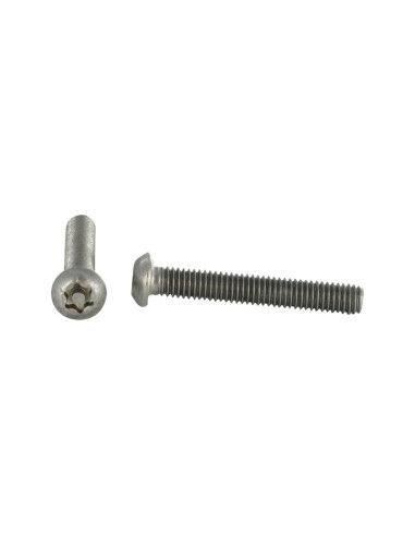 Parafuso de metais Aço inoxidável A2 Seguro cabeça panela TORX T20 com pino M4X8