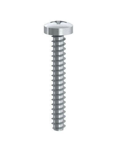 Parafuso de chapa cabeça cilíndrica Phillips 2 sem ponta 4,2 x 25 Aço zinco branco