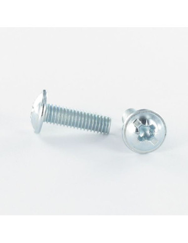 PARAFUSO cabeça de cogumelo Fenda Pozi M6X15 Aço zinco branco