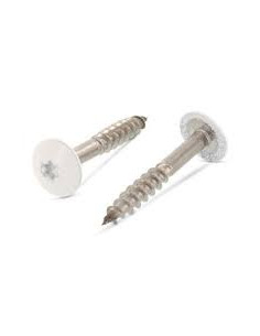 Parafusos rosca com cabeça de tremoço TORX T20 4,8X38 diâmetro da cabeça 12.3 Aço inoxidável A2 RAL9001 branco