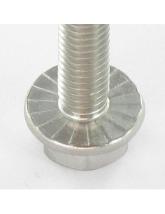 Parafuso de metais cabeça hexagonal flange com gola serrilhada M6X16 Aço inoxidável A2 2