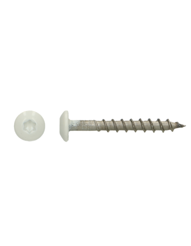 PARAFUSO dobradiça 4,5X35 TORX T20 Aço inoxidável A4 RAL9010 branco puro