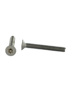 Parafuso de metais Aço inoxidável A2 Seguro cabeça fresada TORX T30 com pino M6X16