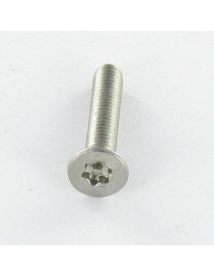 Parafuso de metais Aço inoxidável A2 Seguro cabeça fresada TORX T30 com pino M6X16 2