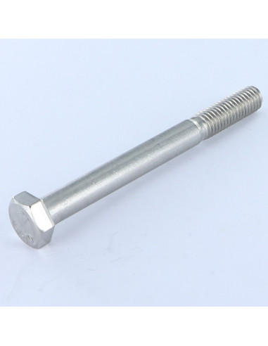 Corpo de parafuso Aço inoxidável A2 cabeça hexagonal M14X55