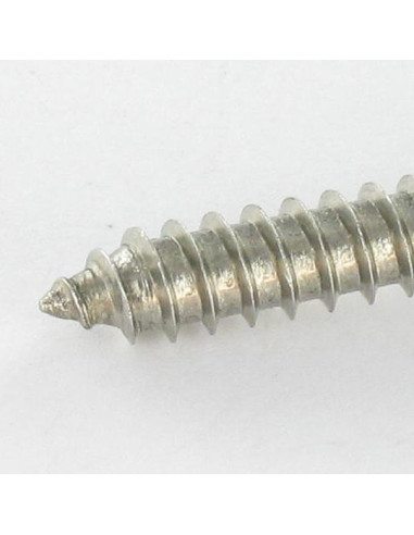 Parafuso de chapa Aço inoxidável A2 cabeça hexagonal 5,5 x 19