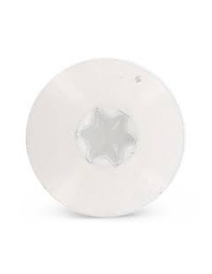 Parafusos rosca com cabeça de tremoço TORX T20 4,8X38 diâmetro da cabeça 12.3 Aço inoxidável A2 RAL9010 branco 2