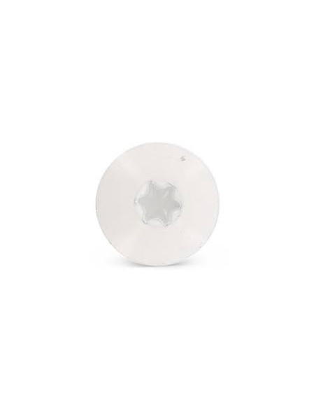 Parafusos rosca com cabeça de tremoço TORX T20 4,8X38 diâmetro da cabeça 12.3 Aço inoxidável A2 RAL9010 branco