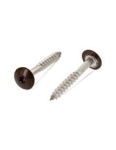 Parafusos rosca com cabeça de tremoço TORX T20 5,5 x 45 diâmetro da cabeça 12.3 Aço inoxidável A2 RAL8014