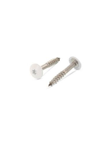 Parafusos rosca com cabeça de tremoço TORX T20 5,5 x 35 diâmetro da cabeça 12.3 Aço inoxidável A2 RAL9001 branco