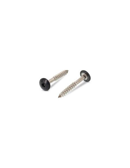 Parafusos rosca com cabeça de tremoço TORX T20 5,5 x 38 diâmetro da cabeça 12.3 Aço inoxidável A2 RAL7016