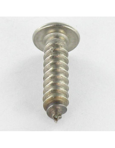 Parafuso de chapa Seguro Aço inoxidável A2 cabeça cilíndrica TORX T10 com pino 3,5 x 25