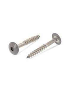 Parafusos rosca com cabeça de tremoço TORX T20 5,5 x 32 diâmetro da cabeça 12.3 Aço inoxidável A2 RAL7037