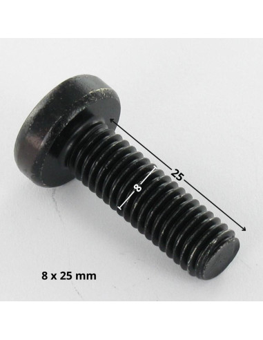 Parafuso de metais cabeça abaulada larga TORX T40 M8X25 Aço zinco preto