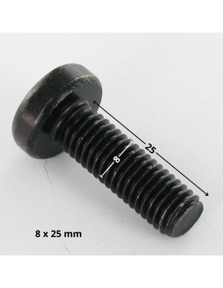 Parafuso de metais cabeça abaulada larga TORX T40 M8X25 Aço zinco preto