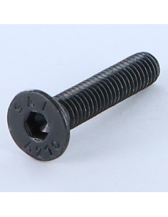 Parafuso de metais Aço inoxidável A2 cabeça fresada hexagonal oca FHC chave de 4 M6X30 Preto rosca total