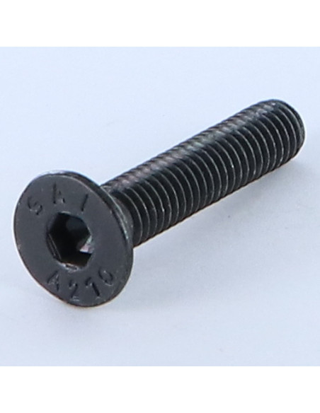 Parafuso de metais Aço inoxidável A2 cabeça fresada hexagonal oca FHC chave de 4 M6X30 Preto rosca total