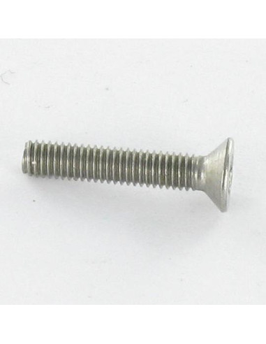Parafuso de metais Aço inoxidável A2 Seguro cabeça fresada TORX T10 com pino M3X20 microparafusos