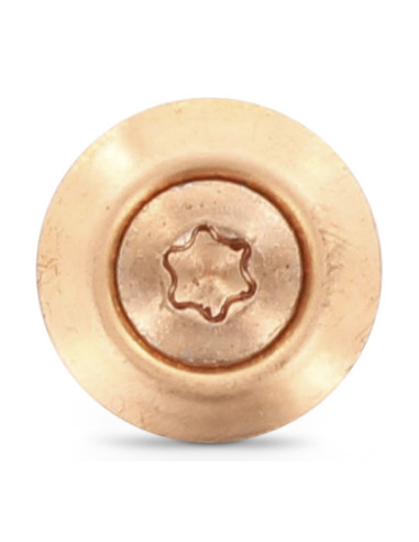 Parafuso para telhas cabeça fresada de panela TORX T20 Aço inoxidável A2 cobre 4,5X45 Arruela estanque com junta de