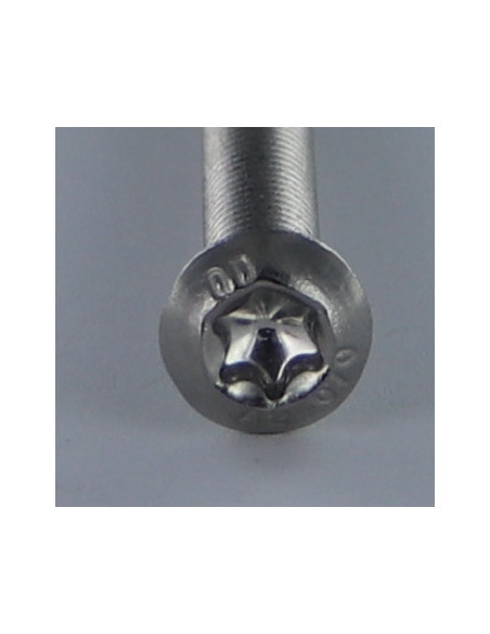 Parafuso de metais cabeça cabeça panela T55 M12X70 rosca total Aço inoxidável A2