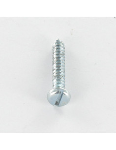 Parafuso de chapa cabeça cilíndrica sulcada 4,8X16 Aço zinco branco 2