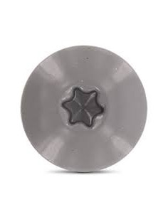 Parafusos rosca com cabeça de tremoço TORX T20 4,8X38 diâmetro da cabeça 12.3 Aço inoxidável A2 RAL7037 2