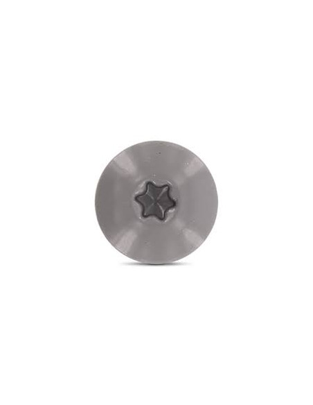 Parafusos rosca com cabeça de tremoço TORX T20 4,8X38 diâmetro da cabeça 12.3 Aço inoxidável A2 RAL7037