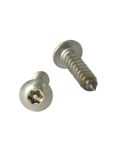 Parafuso de chapa Seguro Aço inoxidável A2 cabeça cilíndrica TORX T25 com pino 4,8 x 32