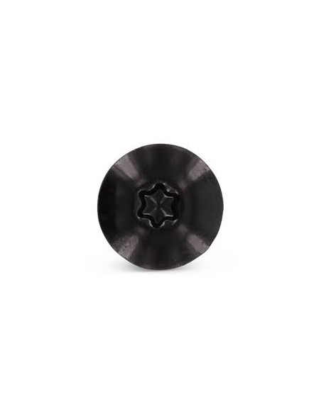 Parafusos rosca com cabeça de tremoço TORX T20 4,8X25 diâmetro da cabeça 12.3 Aço inoxidável A2 RAL9005 preto