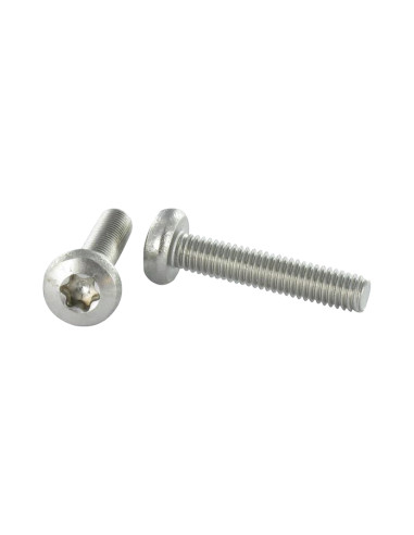 Parafuso de metais cabeça abaulada larga Aço inoxidável A2 M4X40 TORX T20